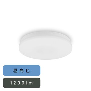 ACXI[} ^V[OCg ` 1200lm F lZT[ [ȒPt Hsv ȃGl Ɩ rO ] SCL12D-U2