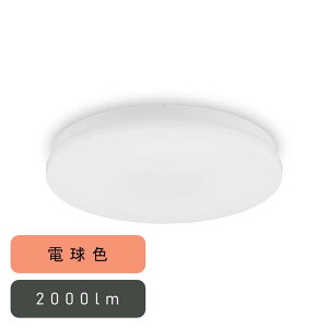 ACXI[} ^V[OCg ` 2000lm dF lZT[ [ȒPt Hsv ȃGl Ɩ  Q gC] SCL20L-U2