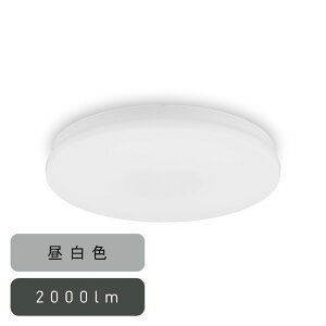 ACXI[} ^V[OCg ` 2000lm F lZT[ [ȒPt Hsv ȃGl Ɩ Eߏ Lb`] SCL20N-U2