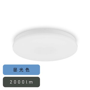 ACXI[} ^V[OCg ` 2000lm F lZT[ [ȒPt Hsv ȃGl Ɩ rO ] SCL20D-U2