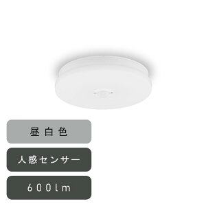 ACXI[} ^V[OCg ` 600lm F lZT[t [ȒPt Hsv ȃGl Ɩ Eߏ Lb`] SCL6N-MS-U2