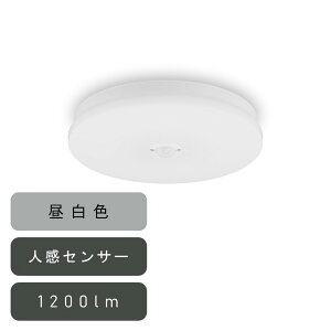 ACXI[} ^V[OCg ` 1200lm F lZT[t [ȒPt Hsv ȃGl Ɩ Eߏ Lb`] SCL12N-MS-U2