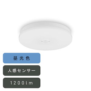 ACXI[} ^V[OCg ` 1200lm F lZT[t [ȒPt Hsv ȃGl Ɩ rO ] SCL12D-MS-U2