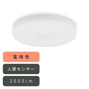 ACXI[} ^V[OCg ` 2000lm dF lZT[t [ȒPt Hsv ȃGl Ɩ  Q] SCL20L-MS-U2