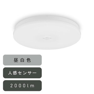 ACXI[} ^V[OCg ` 2000lm F lZT[t [ȒPt Hsv ȃGl Ɩ Eߏ Lb`] SCL20N-MS-U2