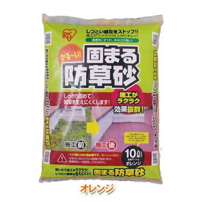 ACXI[} ł܂h 10L IW [G΍  ԏ] 10L yll2_z