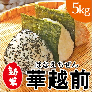  ߘa6NY@䌧Y@؉zO ͂Ȃ Ԃ  5kg yll4_z