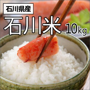 c ߘa7NY V ΐ쌧YΐĐ 10kg yll2_z