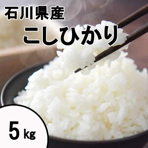  ߘa7Nx V ΐ쌧Y Ђ [   k RVqJ] 5kg yll4_z