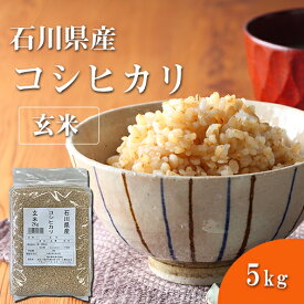 福井精米 令和7年度産　石川県産　こしひかり玄米 コシヒカリ お米 5kg 【お一人様4点限り】