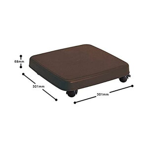 TR[vX`bN NS M(W30.1×D30.1×H6.8cm) [ ړ LX^[] _[NuE