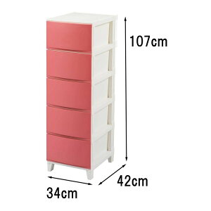 TJ ROOMSVF[h X5i(34×s42×107cm) 345 [[ `FXg {bNX P[X ߗ N[[bg] ThsN [qlgi]