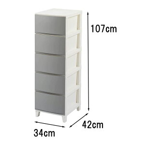 TJ ROOMSVF[h X5i(34×s42×107cm) 345 [[ `FXg {bNX P[X ߗ N[[bg] ThO[ [qlgi]