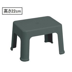 Y vXebv ̌^ݑ 22cm O[ [ r ω׏d100kg] ST-343