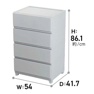 JEJ AXe[W ǕtfRj[V[HCh4i 54×s41.5×86.1cm [[Ƌ `FXg ^X ߗ] CgO[ [qlgi]