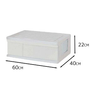 }bNXWp Ch[P[X1i 60×s40×22cm [ߑP[X vX`bN o N[[bg ] zCg