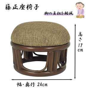 X[AC ِ֎q 24×s24×17cm [ CX  т G̒ɂ r̒ɂ] S-170DBR