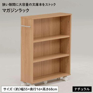 �����X���[�A�C �}�K�W�����b�N(�u���E��)[�{�I �R�~�b�N ���[ �L���X�^�[�t ��55cm]�y�k�C��/����/����/���ԑюw��/�����s�z RCC-1021NA-S �yC�z�y����s�z