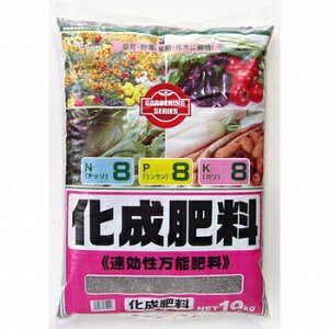 ������ �����엿8-8-8 10kg �y����l�l2�_����z