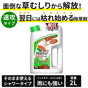 Yw EhAbv}bNX[hAL2(̂܂܎gV[^Cv)()@^Cv[23790] GstUz 2L yll8_z