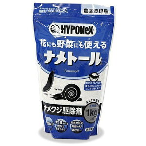 nC|lbNX ig[iilNW쏜܁j 1kg