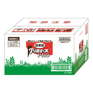 yP[Xzn[g OzG[XPRO [23938](4993023881205×12) 1L×12 yll1_z