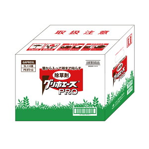 yP[Xzn[g OzG[XPRO [23938]i4993023881304×4j 5L×4 yll1_z