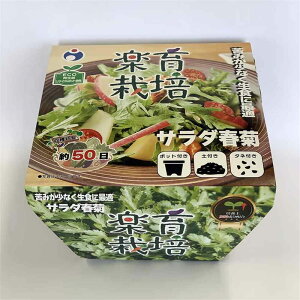 E^l y͔|Lbg T_te [ƒ؉  x_ RpNg SҌ Đ|bg ECO] 87218