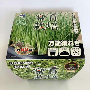 E^l y͔|Lbg \׃lM [ƒ؉  x_ RpNg SҌ Đ|bg ECO] 87219