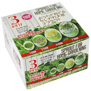 A^_ ňĂ 卪 XvEg͔|Zbg [͔|Lbg  x_ RpNg SҌ Đv^[] 3