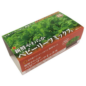 A^_ ͔|Zbg xr[[t~bNX [͔|Lbg  x_ RpNg SҌ Đv^[] 1Zbg