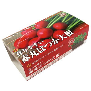 A^_ ͔|Zbg Ԋۂ͂卪 [͔|Lbg  x_ RpNg SҌ Đv^[] 1Zbg