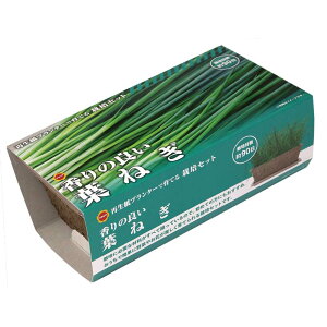 A^_ ͔|Zbg t˂ [͔|Lbg   x_ RpNg SҌ Đv^[] 1Zbg