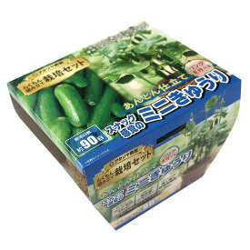アタリヤ農園 支柱付き ミニ胡瓜 [栽培キット きゅうり 野菜 ベランダ コンパクト 初心者向け 再生紙プランター] 1セット