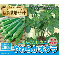 アタリヤ農園 支柱付 やわらかオクラ [栽培キット 野菜 ベランダ コンパクト 初心者向け 再生紙プランタ…