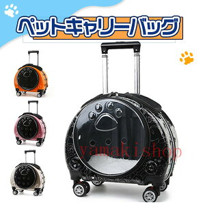 u}\ԍō2000~OFFvybg L[obO LX^[t 2way ybgobO L[J[g  ybg   ^^ L  U nht ʋC o