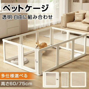 u}\ԍō2000~OFFvybgT[N  NA hAt 9type  T[N AN  T[NP[W ybgtFX ybgP[W BȂ Rɑgݍ킹 tFX 6