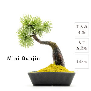 ~ _ ܗt Mini Bunjin 14cm   RpNg ~j a { lH y i  eiXt[ sv   g Mtg ̓ ̓ v