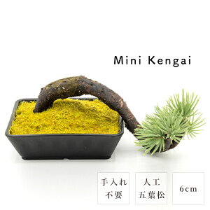 ~ _ ܗt Mini Kengai 6cm   RpNg ~j a { lH y i  eiXt[ sv   g Mtg ̓ ̓ v[