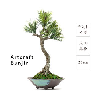 ~ _  Artcraft Bunjin 25cm   RpNg ~j a { lH y i  eiXt[ sv   g Mtg ̓ ̓ v