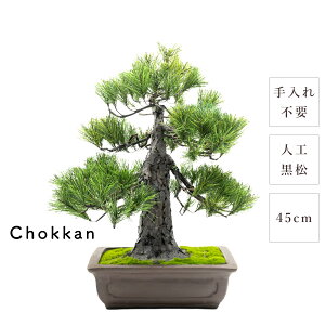 ~ _  Chokkan 45cm   {iI rbO a { lH d i  eiXt[ sv   g Mtg ̓ ̓ v[g