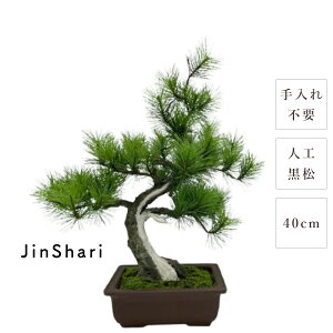 ~ _  JinShari 40cm   {iI rbO a { lH d i  eiXt[ sv   g Mtg ̓ ̓ v[