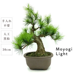 ~ _  Moyogi Light 30cm   {iI rbO a { lH d i  eiXt[ sv   g Mtg ̓ ̓ v[