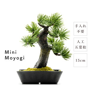 ~ _ ܗt Mini Moyogi 15cm   RpNg ~j a { lH y i  eiXt[ sv   g Mtg ̓ ̓ v