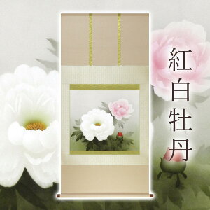 |ugOv KF ڔ TCYF67×137cm dt | a  { h   \ ̊ [   _   | |