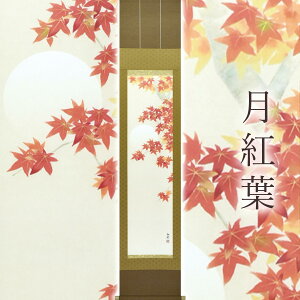 |ugtv ct 㐡 TCYF39×185cm ˔t | a  { h   \ ̊ [   _   | |