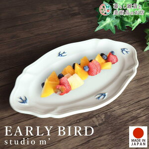 STUDIO M' X^WIG A[[o[h I[ov[g early bird H dqWΉ X[vM fU[g ATC[{E k i`  { X^WIM' 108207 X^WIm