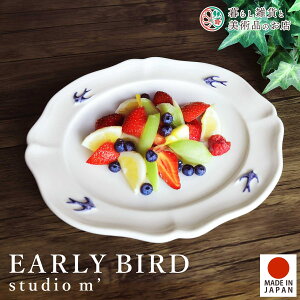 STUDIO M' X^WIG A[[o[h v[g early bird H dqWΉ X[vM fU[g ATC[{E k i`  { X^WIM' 108207 X^WIm