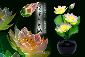 Oh~iX nXl @؂̖H LED    ԃt[Cg _d ~ _I _  ~ ܂ RK