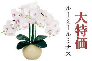 yŏIiz c킸 [~[~iX Ӓ 5{ F AC{[ R[hX dr LED  Mtg Ɩ Oh~iX ~ j pI 蕨 v[g _
